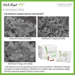 Well Root PT Vericom